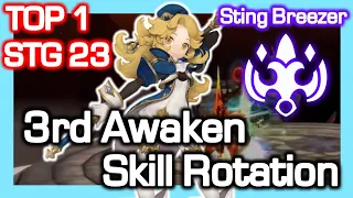 Top 1 Sting Breezer 3rd Awaken STG 23 Skill Rotation / Dragon Nest China