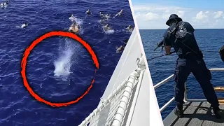 Coast Guard Fires Shots at Shark