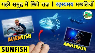 गहरे समुद्र में छिपे राज़ I रहस्यमय मछलियाँ l Alien Fish Found