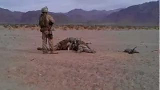 US Marines shooting Soviet dragunov "sniper" rifle