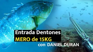 ✅🔝 Entrada de Dentones y captura de MERO DE 15KG por Daniel Duran