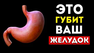 Желудок: 4 самых вредных и 4 самых полезных продукта