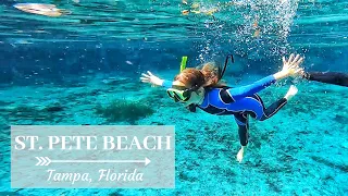 SWIM WITH MANATEES, DEEP SEA FISH, AND BUSCH GARDENS IN ST. PETE BEACH! Tampa, Florida Family Travel