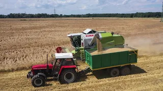 Žně 2020//JEČMEN//CLAAS//ZETOR//VALTRA//NEW HOLLAND//BARLEY HARVEST