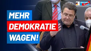 Mehr Demokratie wagen! Stephan Brandner - AfD-Fraktion im Bundestag