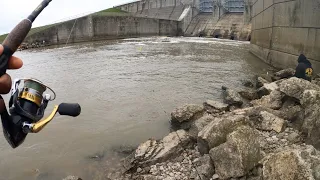 20+ crappie saugeye and white bass spring fishing - Deer creek Dam Ohio