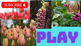 🌾Beautiful Flower Garden 🏡 The Butchart Gardens🏝️The Most Beautiful Flowers Collection🇮🇳pyre creator