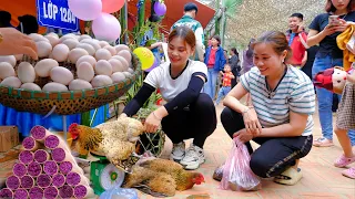 Harvest eggs, chickens, snails and bring them to the market to sell - Thao vy building life