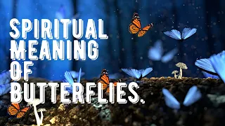 Spiritual Meaning Of Butterflies Butterfly Spiritual Meaning 2023 New Video