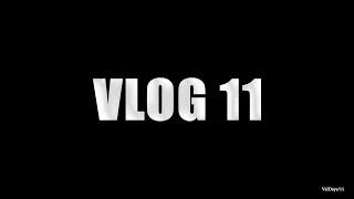 VD VLOG #11 Шашлычек , Владосу 18 , купили тачку !