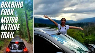 Roaring Fork Motor Nature Trail | Best Drives In The Smoky Mountains