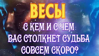 ВЕСЫ 💯♎ С КЕМ И С ЧЕМ ВАС СТОЛКНЕТ СУДЬБА Совсем СКОРО гадание онлайн Таро Расклад