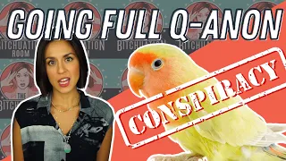 “Birds Aren’t Real” and Other Joke Conspiracy Theories