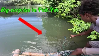 What We Caught Was a Surprised / Checking Fish Pot - Ep 271