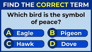 Vocabulary Challenge: Find The Correct Term! #englishchallenge 7