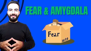 How to stop being afraid - based in neuroscience.