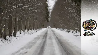 Death in the Forest: Poland's Forgotten Migrants