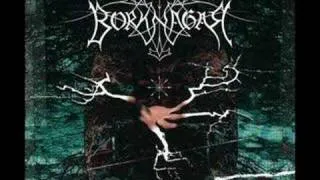 Borknagar - The Genuine Pulse