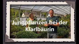 Jungpflanzen bei der Klarlbäurin