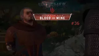 Pfui Spinne![#36] The Witcher 3 Wild Hunt Blood and Wine