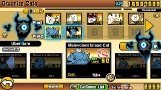 The Battle Cats - Unit Malevolent Island Cat & King Dragon!