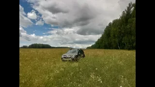 Прогулка выходного дня. Выгуливаем Дастерка. Поиски грибов