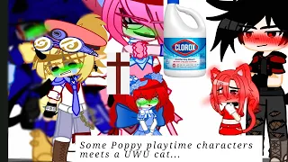 Poppy playtime characters meet a UWU cat... ||READ DESC||