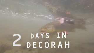 2 Days in DECORAH: Fly Fishing for TROUT, Footbridge Farm Cabin, and the Iowa Driftless Region