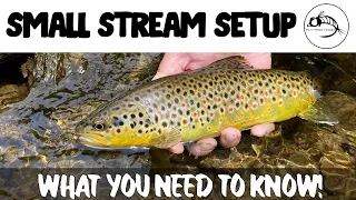 Fly Fishing: What is the ULTIMATE Small Stream Setup? We Test Out the Latest.