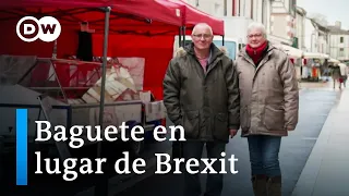 Británicos en Francia: Huyendo del Brexit | DW Documental