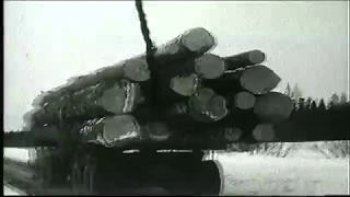 OLD VINTAGE CANADIAN LOGGING FOOTAGE