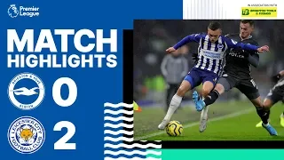 Brighton & Hove Albion 0 Leicester City 2