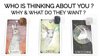 PICK A CARD• WHO IS THINKING ABOUT YOU & WHY 🤔 WILL THEY STEP UP ? *TIMELESS