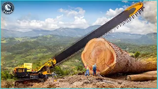 155 Amazing Fastest Big Wood Chainsaw Machines Working At Another Level