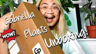 GABRIELLA PLANTS UNBOXING | Found Hard To Find Plants! | Ordering Plants Online | Houseplant Haul