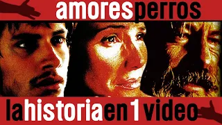 Amores Perros: La Historia en 1 Video