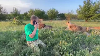 Мы пытаемся поздравить Олечку с Днем рождения из саванны ! "Заповедник здравого смысла "