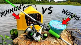 Live Bait Fishing Challenge WORMS vs MINNOWS (Which is Better???)