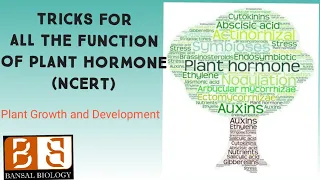 Tricks to remember all FUNCTION of PLANT HORMONES in just 5 SENTENCE•PLANT GROWTH & DEVELOPMENT|neet