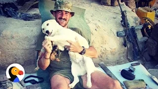 Marine Brings Dog Home From Afghanistan | The Dodo