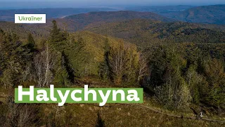 Halychyna from above · Ukraїner