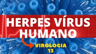 HERPES VÍRUS HUMANO - VIROLOGIA - AULA 13