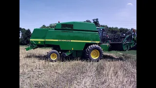 ŻNIWA 2023 / KOSZENIE RZEPAKU / GR PUSTELNIK / JOHN DEERE 2256 /NEW HOLLAND T5.105/NEW HOLLAND T6070