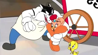 Evolution of Sylvester and Tweety