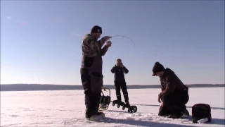 Ice Fishing Lake Trout 2017: Higgins Lake
