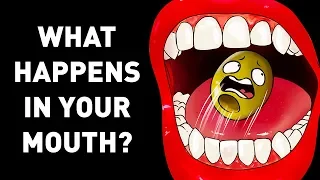 A Great Journey Inside Your Mouth