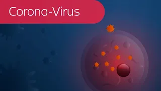 Corona: Wie Viren im Körper wirken
