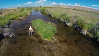 HATCH - BIG SKY PMDs - Montana Spring Creek Fly Fishing by Todd Moen