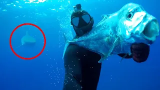 6 Shark Encounters You Won't Believe Happened (Part 2)
