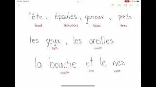 Head, shoulders, knees and toes in French | Repeat After Me